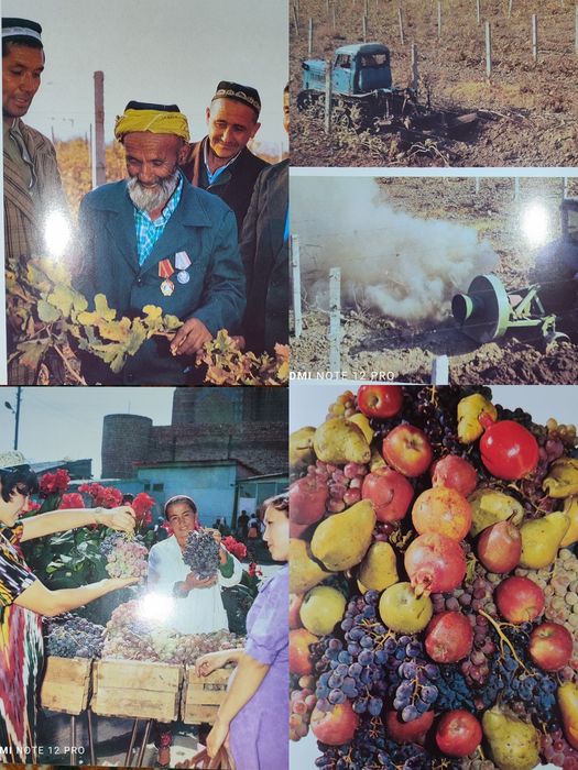 Книга "Сады Узбекистана".