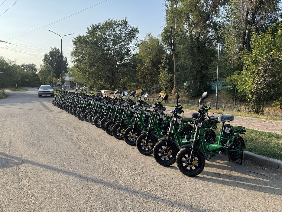 Аренда электровелосипедов