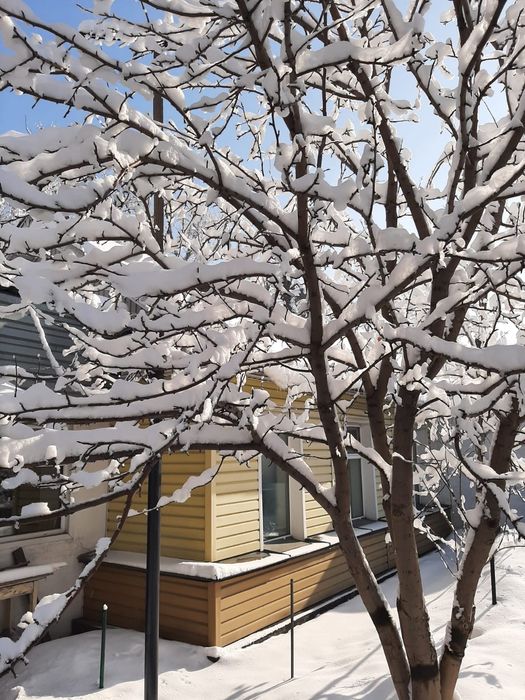 Продам половину дома