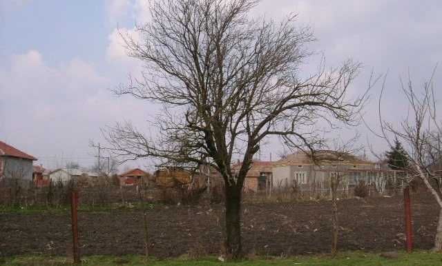 Парцел в Минково