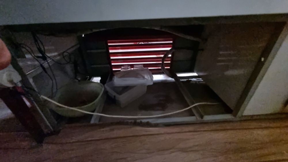 Витрина учун холодилник сотилади