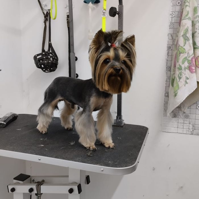 Брутальный жених ждёт своих девочек