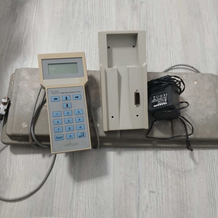 Ceas tauris de vânzare