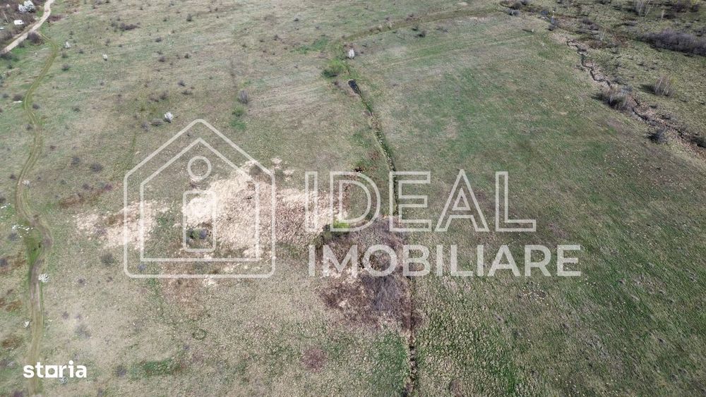 Teren 25.500 mp Valea Avrigului