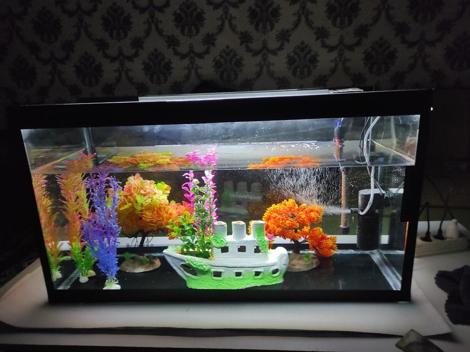 Аквариум срочно сотилади арзонга бериб юбораман