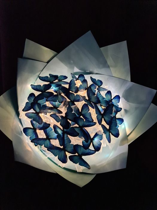 Букет из бабочек