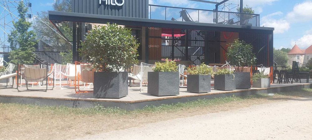 Inchiriere plante ornamentale pentru evenimente