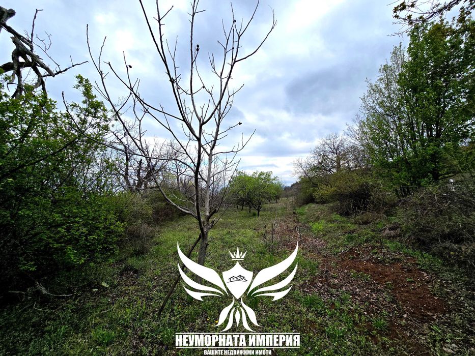 Продава се Земеделски имот в с. Червен, Област Пловдив -  кв.м за 12150 €/дка - Снимка #3