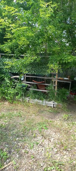 Продам дачу СО Мелиоратор 17улица,6 соток