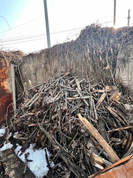 продам дрова яблоней рубленные