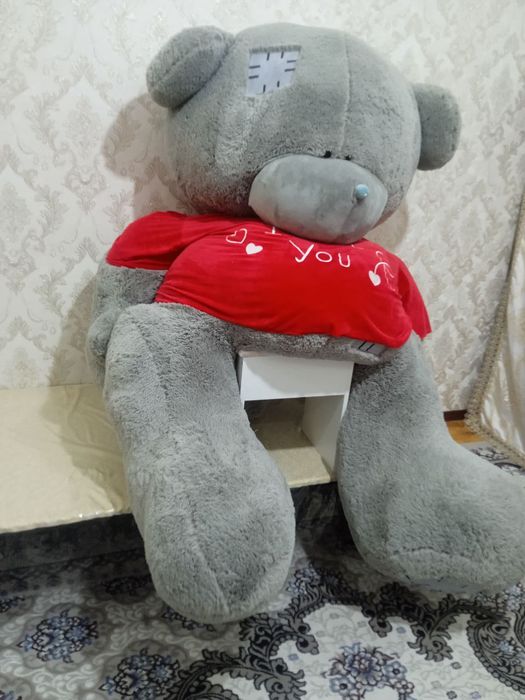 Yumshoq teddy sotiladi.