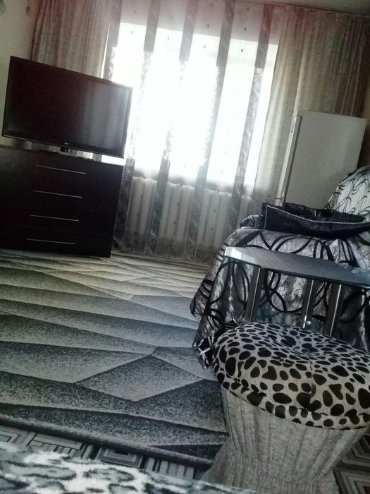 1,5ка посуточно в центре