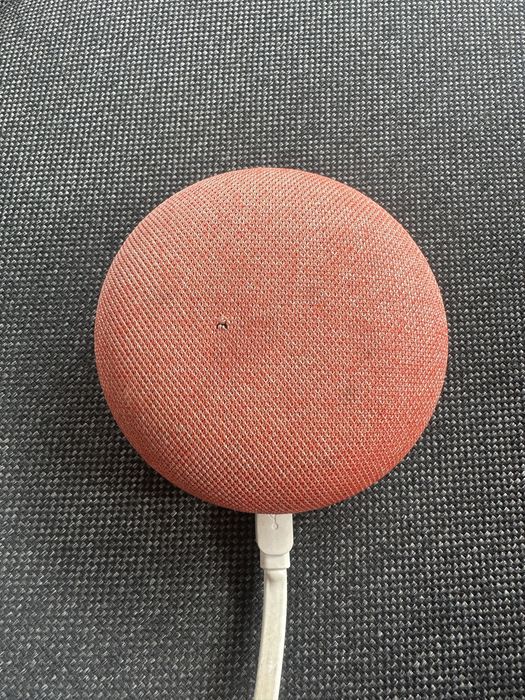 Google home mini