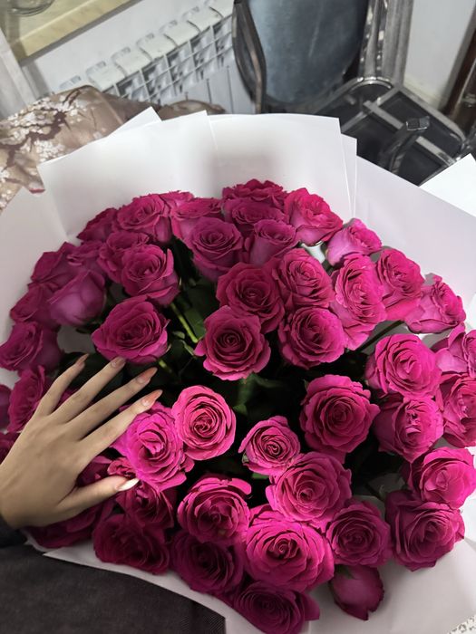 цветы роза 51 розовые