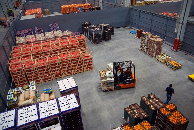 Строительство холодильных камер