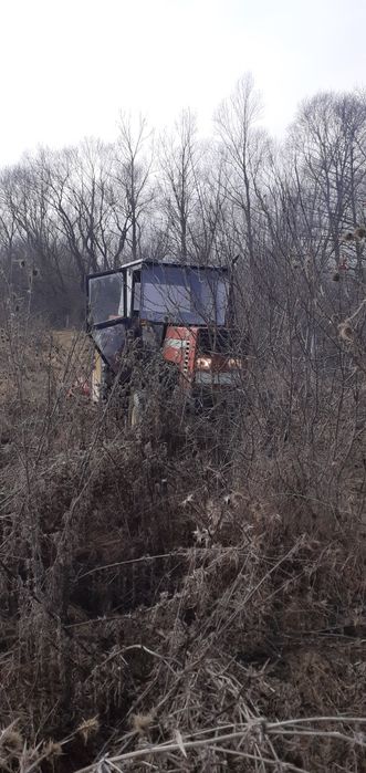 Curățare și defrișare terenuri