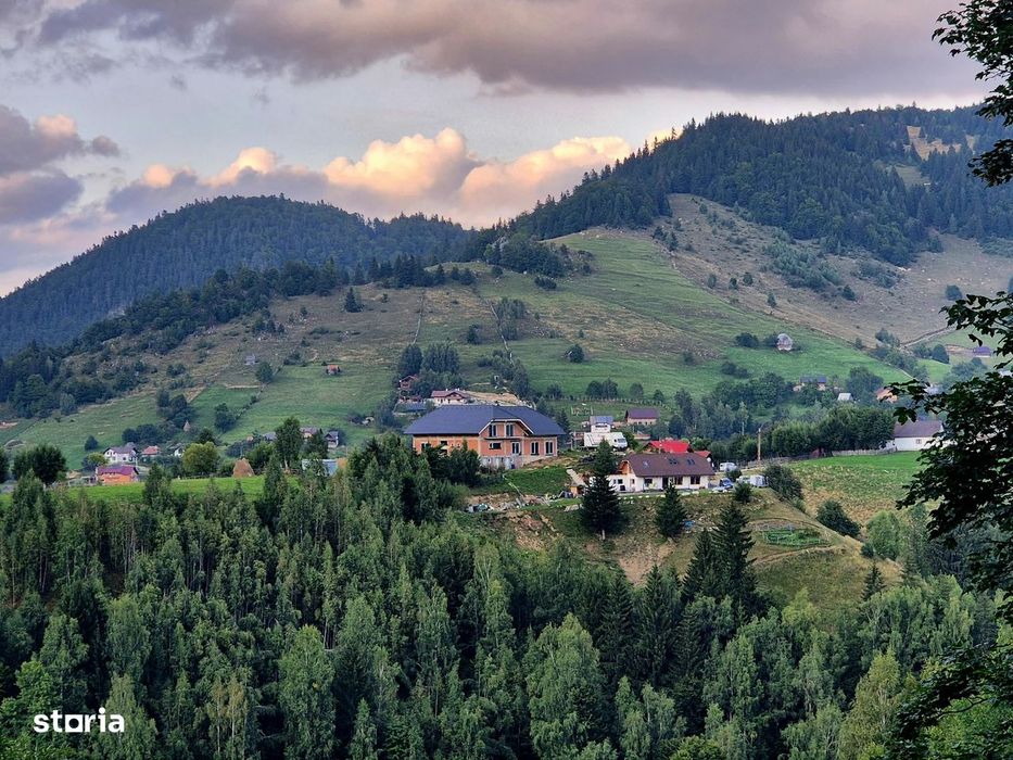 Teren investitie 8635 mp extravilan , Pestera Brasov