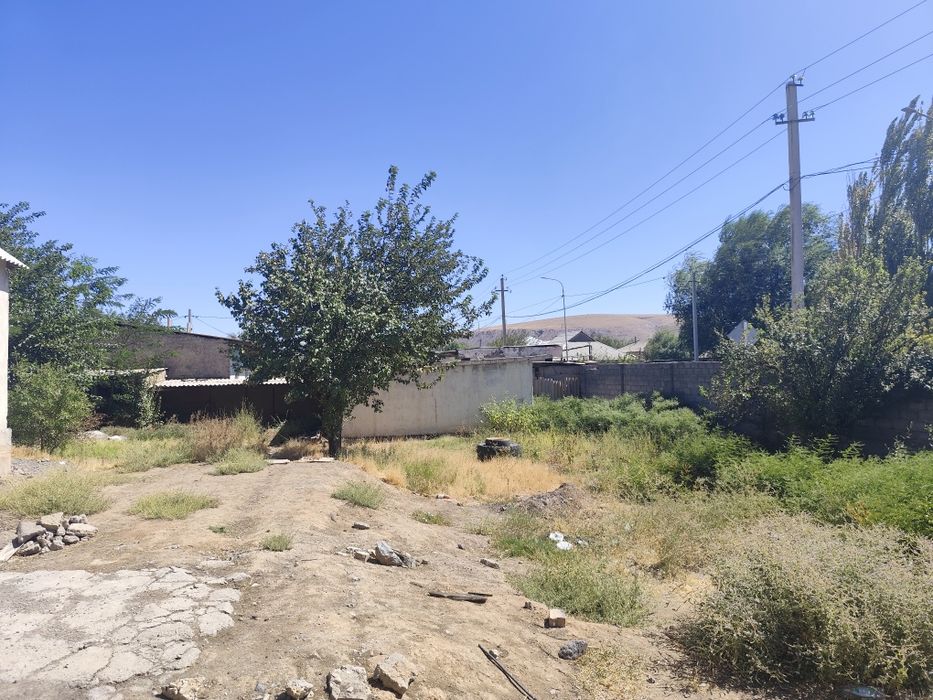 Дом или Машинага аусамын