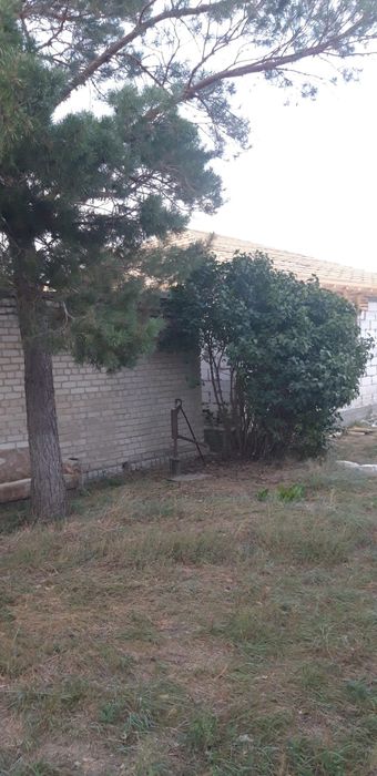 Дачу район Келешек