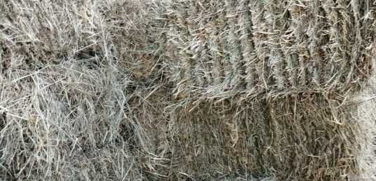 Бали ливадно сено