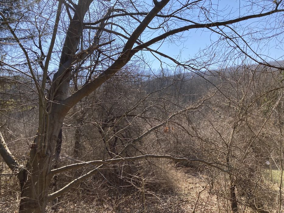 Продава се Къща в с. Малки чифлик, Област Велико Търново - 60 кв.м за 592 €/кв.м - Снимка #6