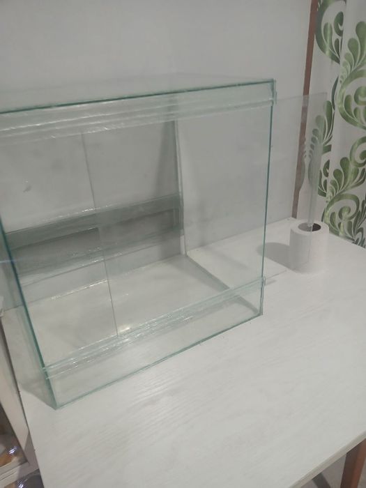 Продам коврового питона.,