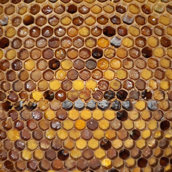 Мёд натуральный, пчелопродукты