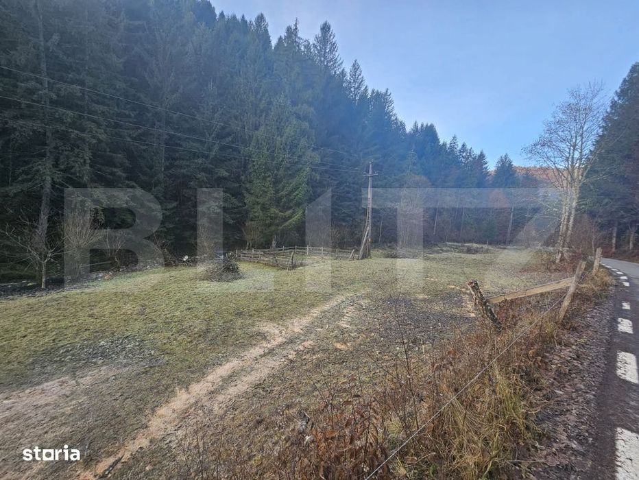 Teren Intravilan 10000 mp, Furduieşti, Campeni