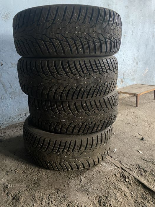 Болоны зимний на 17