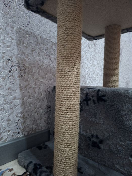 Когтеточка с домиком и лежанками