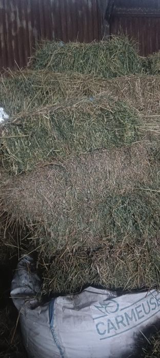 Vând lucerna și floara soarelui