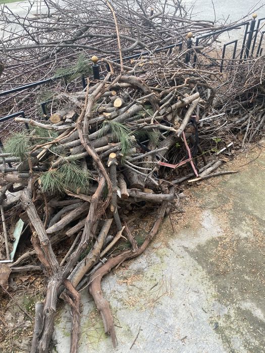 Хар хил дарахтлар утинлари.