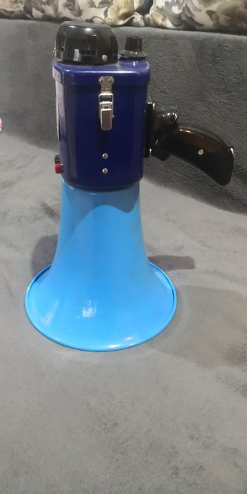 Portavoce profesionala