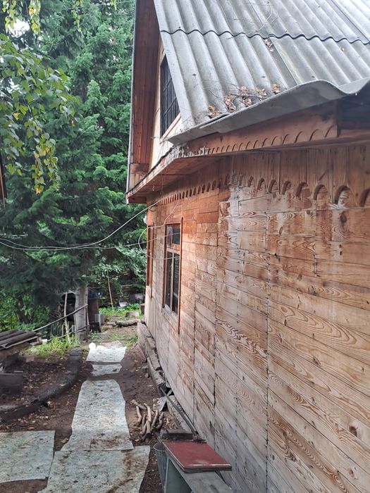 Продам пасеку дачу