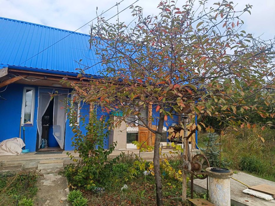 Casa la curte judetul Giurgiu