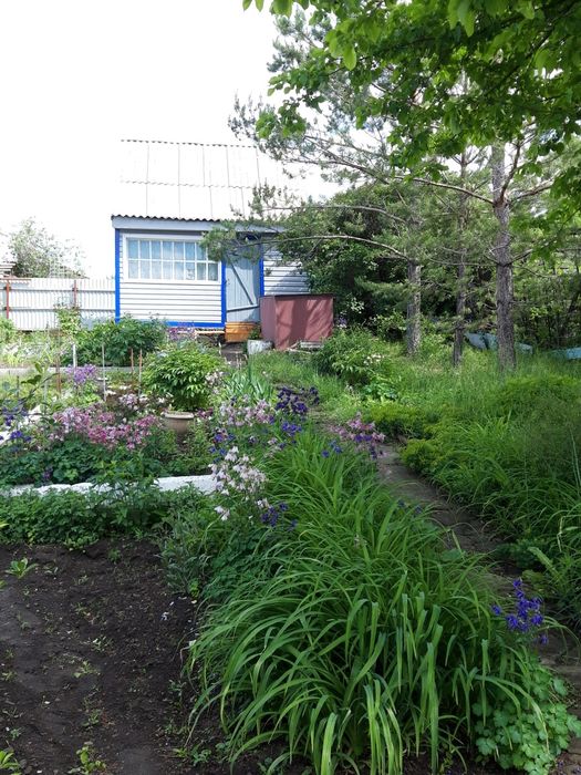 Продается дача около Ново-ахмирово