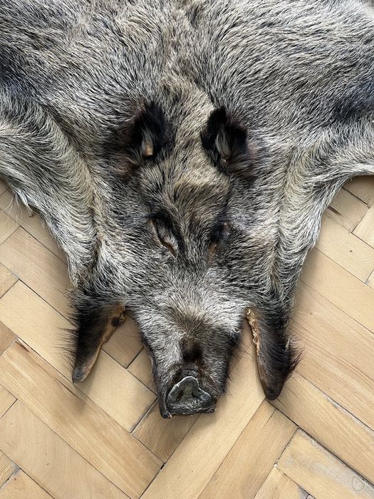 Кожа от Глиган Диво прасе