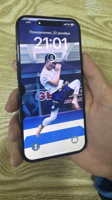 IPhone 15 Pro • Батарея 87%•256GB