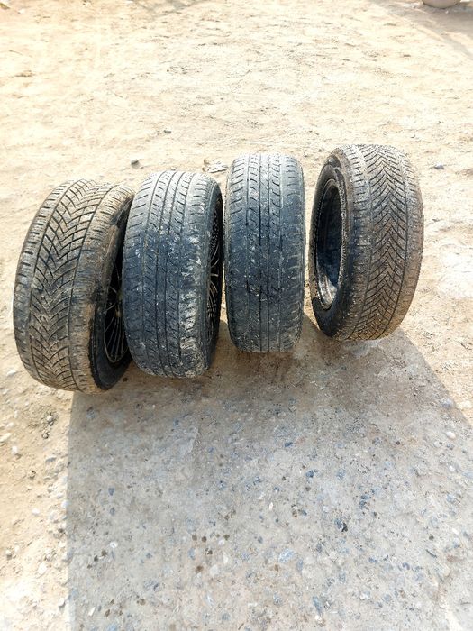 Coblt uchun disa kalon 4 ta