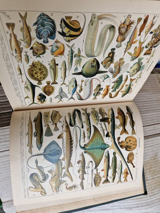 Vând dictionar Noul Larousse ilustrat -6 volume