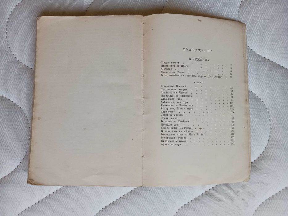 Виденията на скитника - Димо Сяров