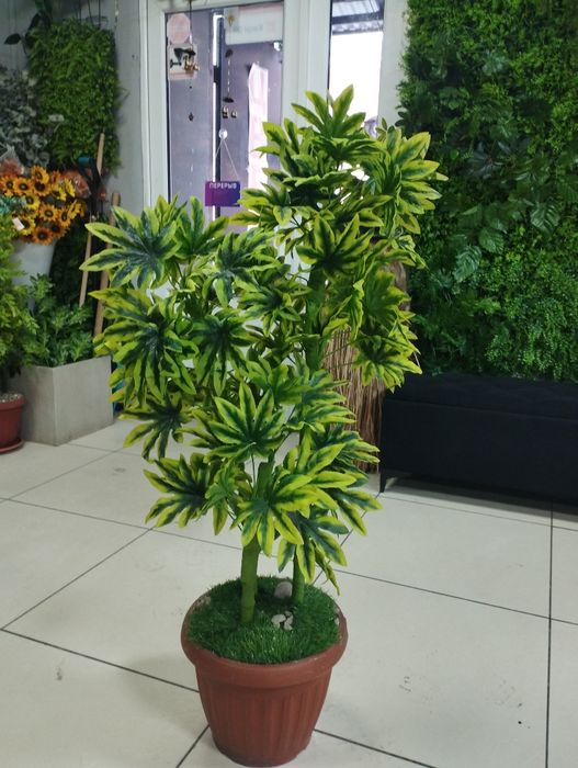 Продам искусственные деревья.