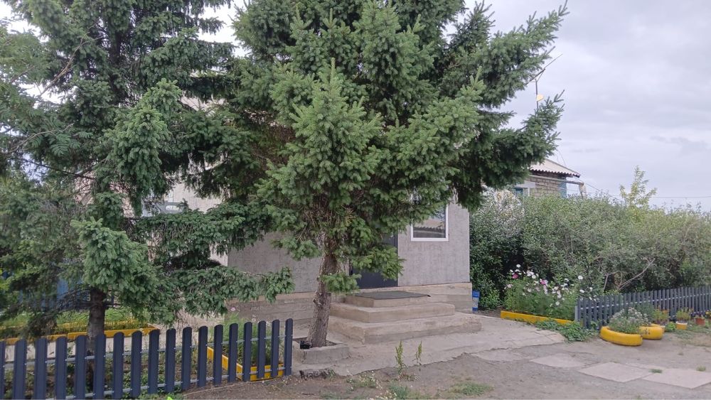 Продам дом с.Еликти