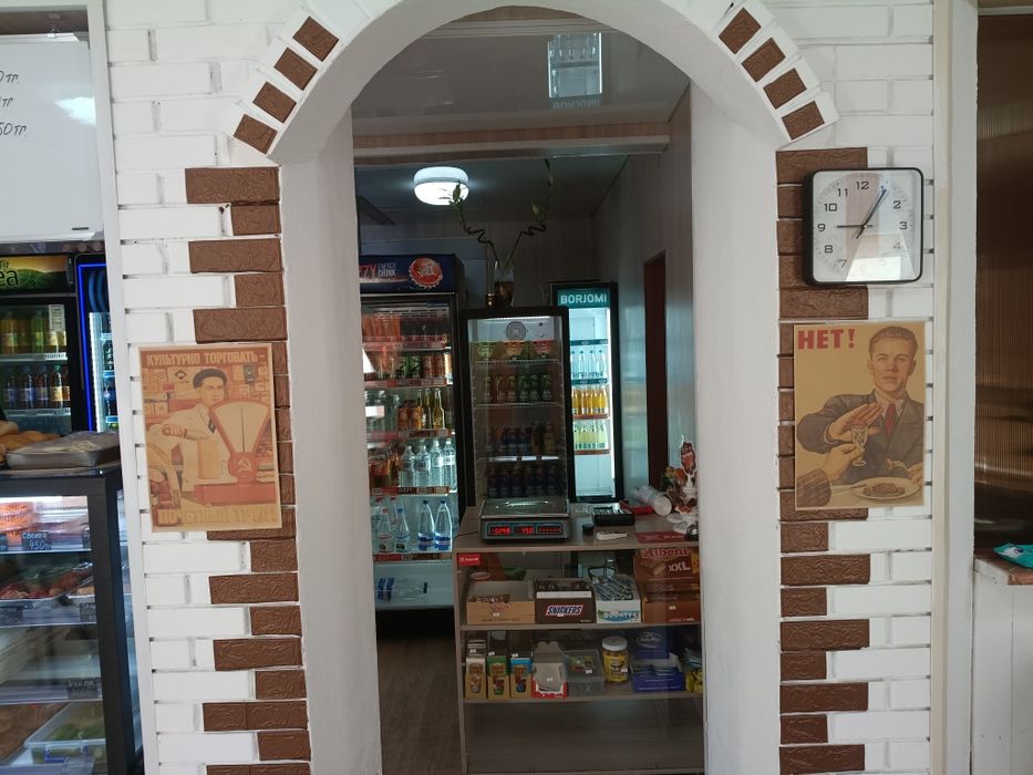 Продам дом в Боровом