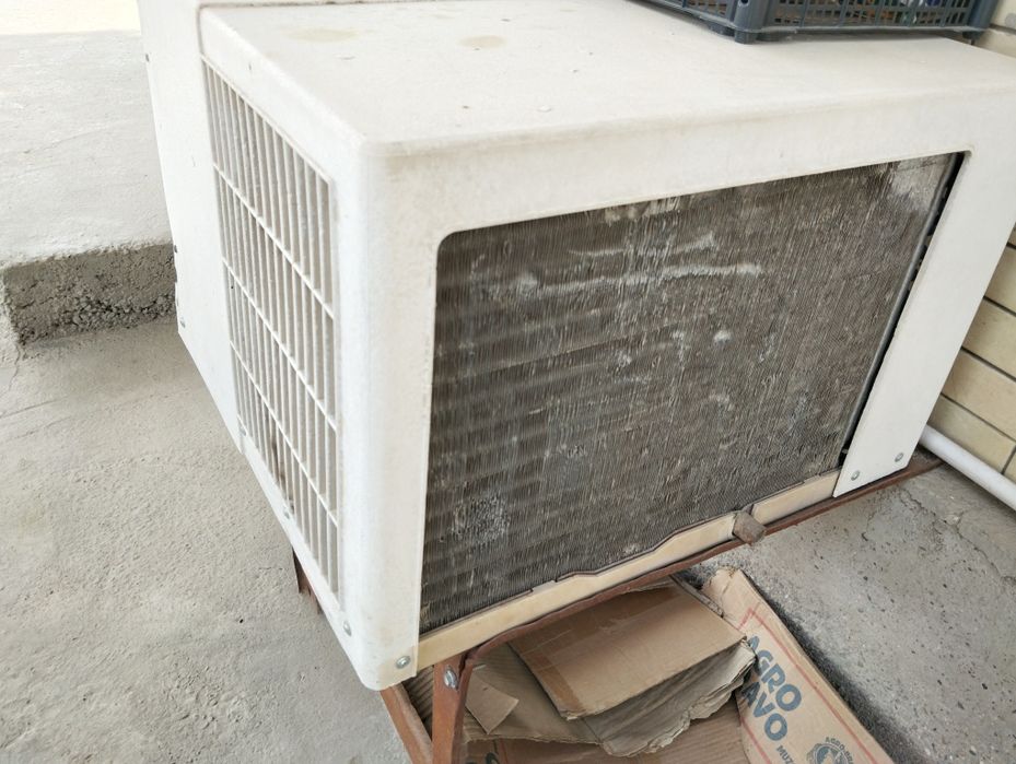 Vitrina xoladelnik sotilad