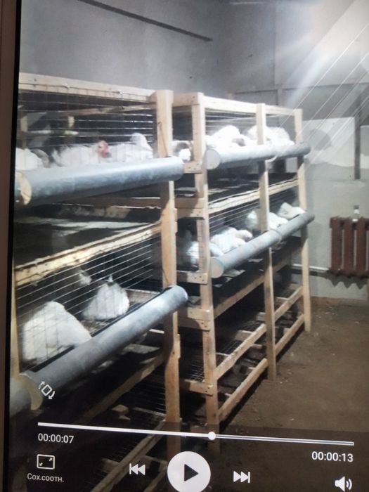 Продам дом в п Бескоспа