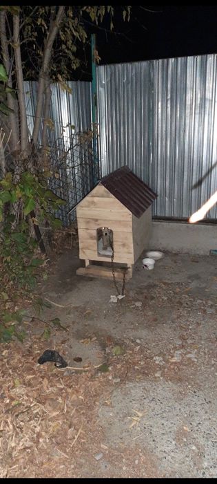 Продам будку для собаки