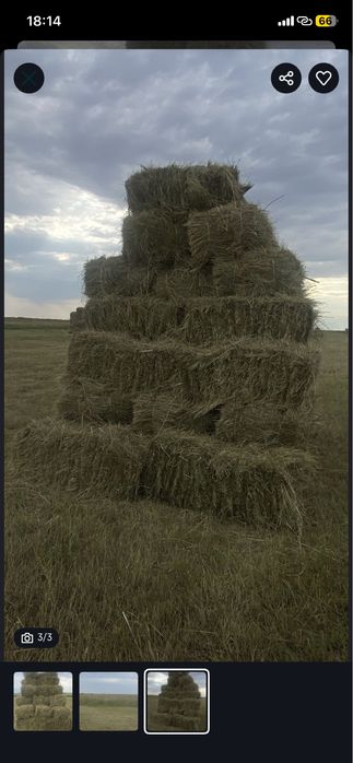 Сено тюковой  продаю