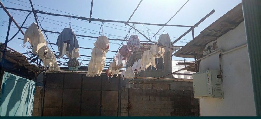 Bedana Sotiladi sayroqi 50-60 ta bor