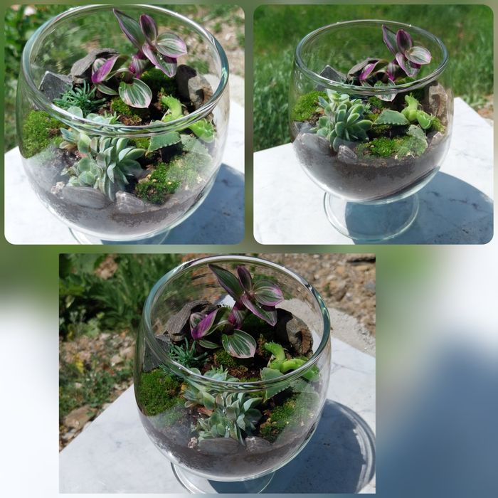 Мини екосистеми - естествени и изкуствени